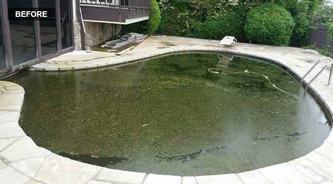 pool-clean-before